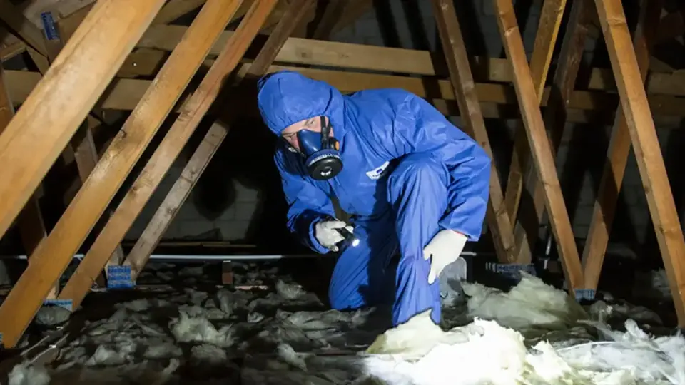 Illustrative professional asbestos-related building work. Not an AAG worksite or a verified local provider.