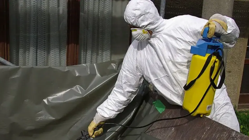Illustrative professional asbestos-related building work. Not an AAG worksite or a verified local provider.
