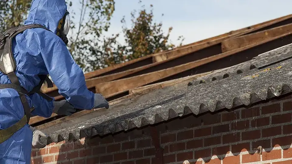 Illustrative professional asbestos-related building work. Not an AAG worksite or a verified local provider.