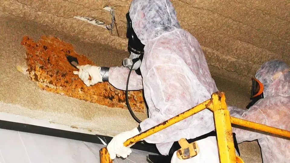 Illustrative professional asbestos-related building work. Not an AAG worksite or a verified local provider.